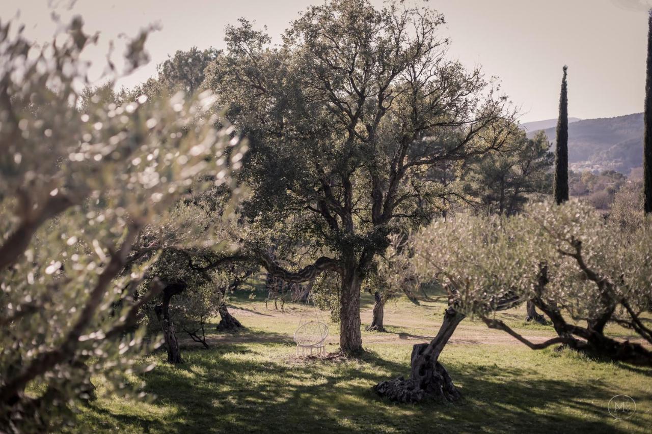 Les Hauts De Diane, Cuers Var المظهر الخارجي الصورة